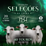 Banner - 2º LEILÃO SELEÇÕES DA SAFRA - NELORE DA BAMBÚ