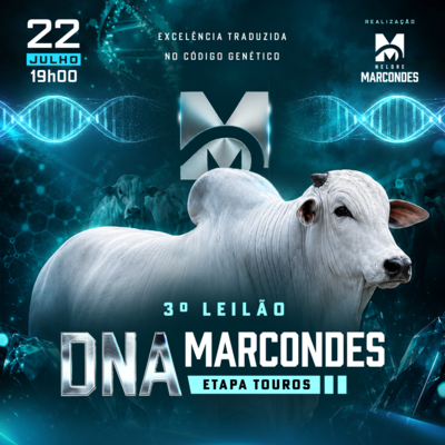 3º LEILÃO DNA MARCONDES - ETAPA TOUROS