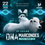 Banner - 3º LEILÃO DNA MARCONDES - ETAPA TOUROS