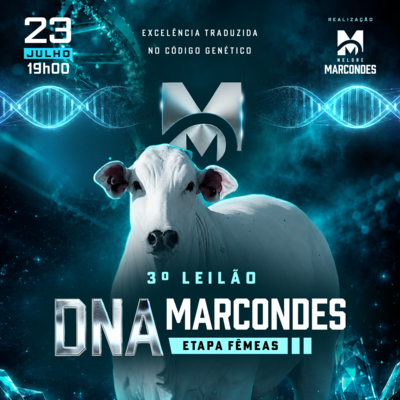 3º LEILÃO DNA MARCONDES - ETAPA FÊMEAS