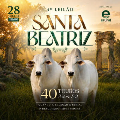 4º LEILÃO NELORE SANTA BEATRIZ