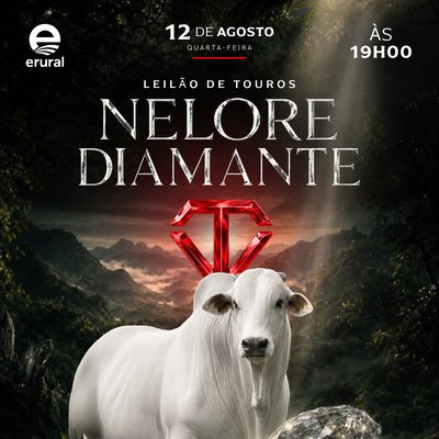 LEILÃO DE TOUROS - NELORE DIAMANTE