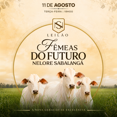 1º LEILÃO FÊMEAS DO FUTURO - NELORE SABALANGÁ