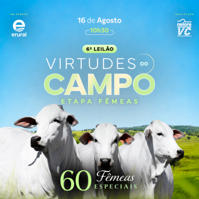 6º LEILÃO VIRTUDES DO CAMPO NELORE VC - ETAPA FÊMEAS