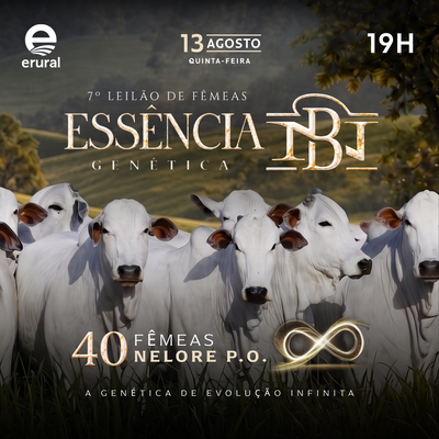 7º LEILÃO ESSÊNCIA GENÉTICA - NELORE DA BAMBÚ