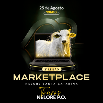 2º LEILÃO MARKETPLACE - NELORE SANTA CATARINA - ETAPA MACHOS