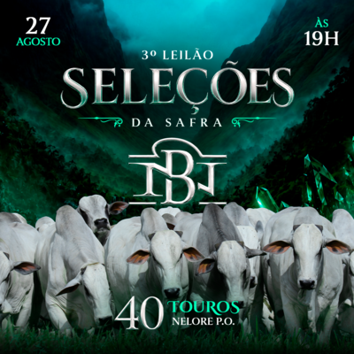 3º LEILÃO SELEÇÕES DA SAFRA - NELORE DA BAMBÚ