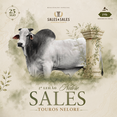 2º LEILÃO NELORE SALES & SALES