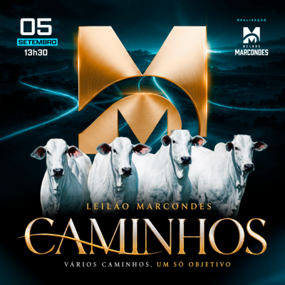 LEILÃO CAMINHOS - NELORE MARCONDES