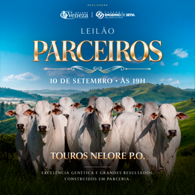 LEILÃO PARCEIROS - FAZ. VENEZA E ENGENHO DE SERRA