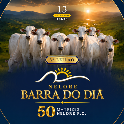 3º LEILÃO NELORE BARRA DO DIA - ETAPA FÊMEAS