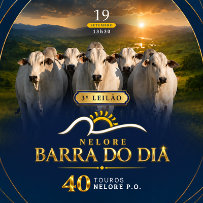 3º LEILÃO NELORE BARRA DO DIA - ETAPA TOUROS