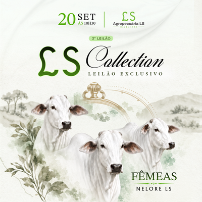 3º LEILÃO LS COLLECTION