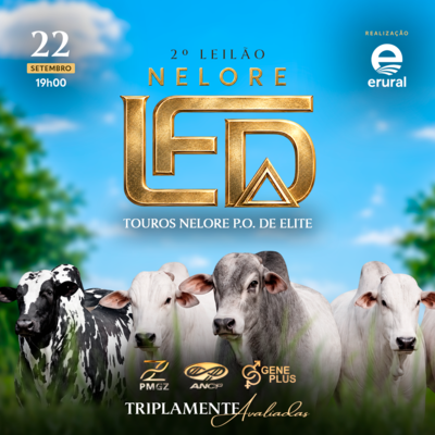 2º LEILÃO LFD - ETAPA TOUROS