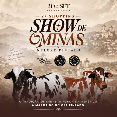 2º SHOPPING SHOW DE MINAS - NELORE PINTADO - MACHOS