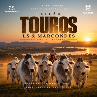 LEILÃO TOUROS - LS & MARCONDES 