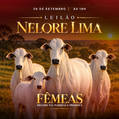 1º LEILÃO NELORE LIMA