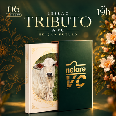 LEILÃO TRIBUTO À VC - EDIÇÃO FUTURO