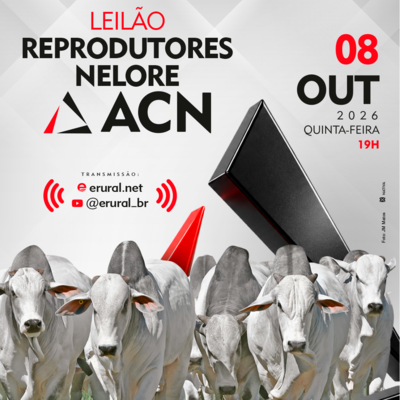 LEILÃO REPRODUTORES - NELORE ACN 08.10