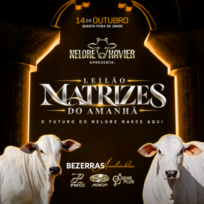 LEILÃO NELORE XAVIER - MATRIZES DO AMANHÃ