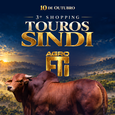 3º SHOPPING TOUROS SINDI - AGRO FTI