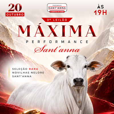 3° LEILÃO MÁXIMA PERFORMANCE NELORE SANTANNA