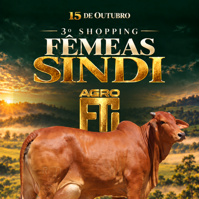 3º SHOPPING FÊMEAS SINDI - AGRO FTI