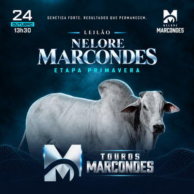 LEILÃO NELORE MARCONDES - TOUROS - ETAPA PRIMAVERA