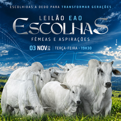 LEILÃO ESCOLHAS EAO