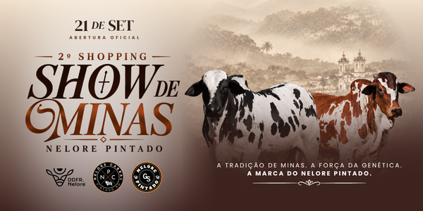 2º SHOPPING SHOW DE MINAS - NELORE PINTADO - MACHOS