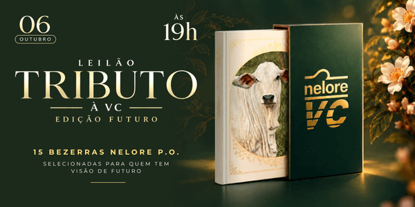 LEILÃO TRIBUTO À VC - EDIÇÃO FUTURO