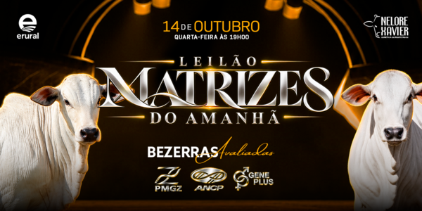 LEILÃO NELORE XAVIER - MATRIZES DO AMANHÃ