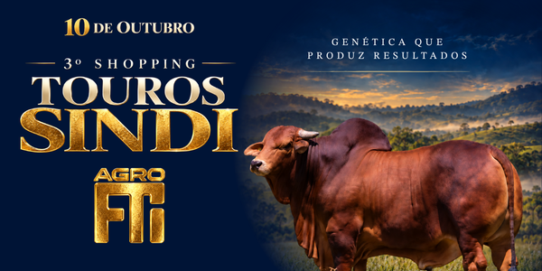 3º SHOPPING TOUROS SINDI - AGRO FTI
