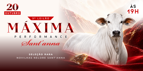 3° LEILÃO MÁXIMA PERFORMANCE NELORE SANTANNA