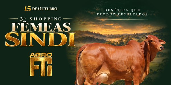 3º SHOPPING FÊMEAS SINDI - AGRO FTI