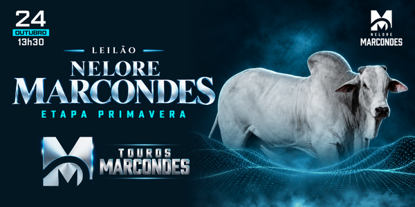 LEILÃO NELORE MARCONDES - TOUROS - ETAPA PRIMAVERA