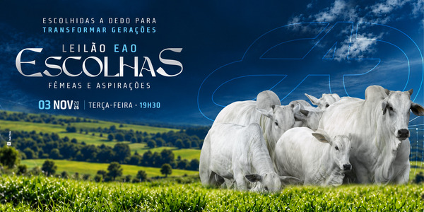 LEILÃO ESCOLHAS EAO
