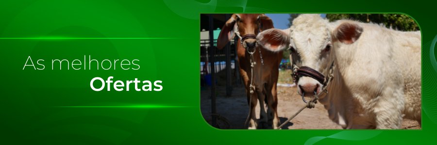 Capa - Compre Indubrasil na região norte do país