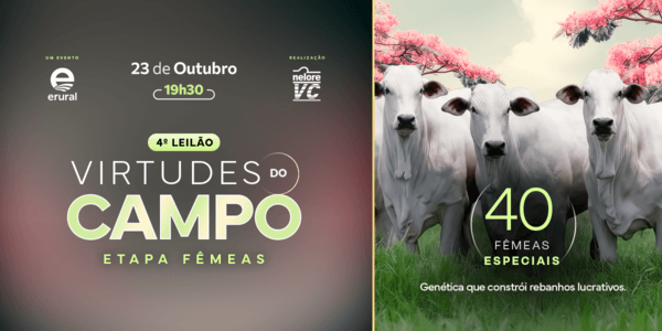O futuro do seu rebanho começa aqui, dê o próximo passo para o sucesso na pecuária!