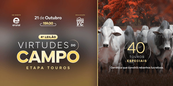 O futuro do seu rebanho começa aqui, dê o próximo passo para o sucesso na pecuária!