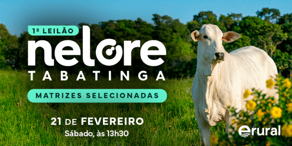 O futuro do seu rebanho começa aqui, dê o próximo passo para o sucesso na pecuária!