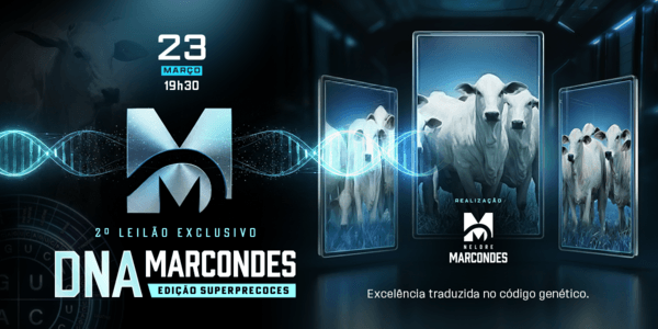 Genética de ponta, fertilidade em alta e pedigree. Um pacote completo pronto para transformar qualquer plantel.