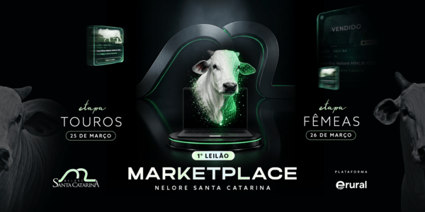 O futuro do seu rebanho começa aqui, dê o próximo passo para o sucesso na pecuária!