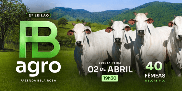 O futuro do seu rebanho começa aqui, dê o próximo passo para o sucesso na pecuária!