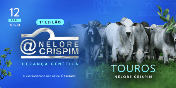 O futuro do seu rebanho começa aqui, dê o próximo passo para o sucesso na pecuária!