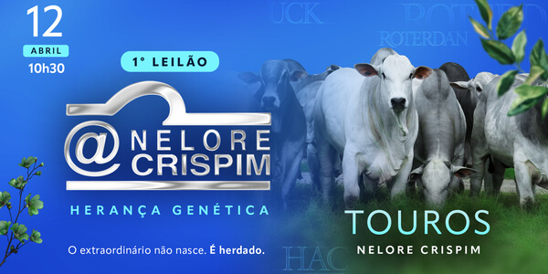 O futuro do seu rebanho começa aqui, dê o próximo passo para o sucesso na pecuária!