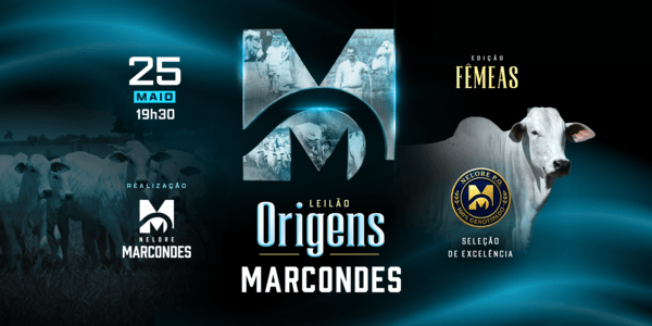 O futuro do seu rebanho começa aqui, dê o próximo passo para o sucesso na pecuária!https://www.erural.net/evento/leilao-origens-marcondes-machos-874a