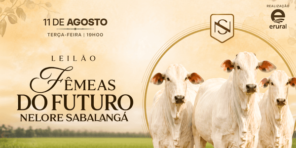Genética de ponta, fertilidade em alta e pedigree. Um pacote completo pronto para transformar qualquer plantel.