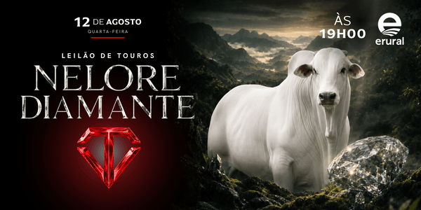 O futuro do seu rebanho começa aqui, dê o próximo passo para o sucesso na pecuária!