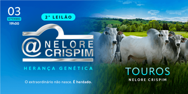 O futuro do seu rebanho começa aqui, dê o próximo passo para o sucesso na pecuária!